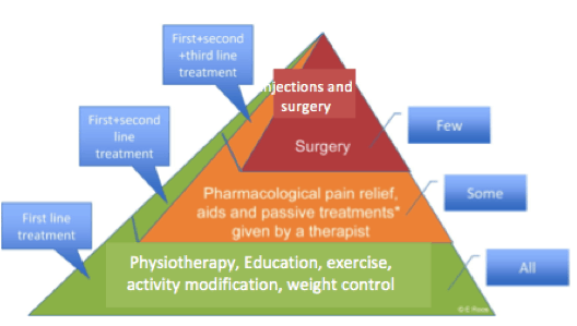 Physio tendon rehab